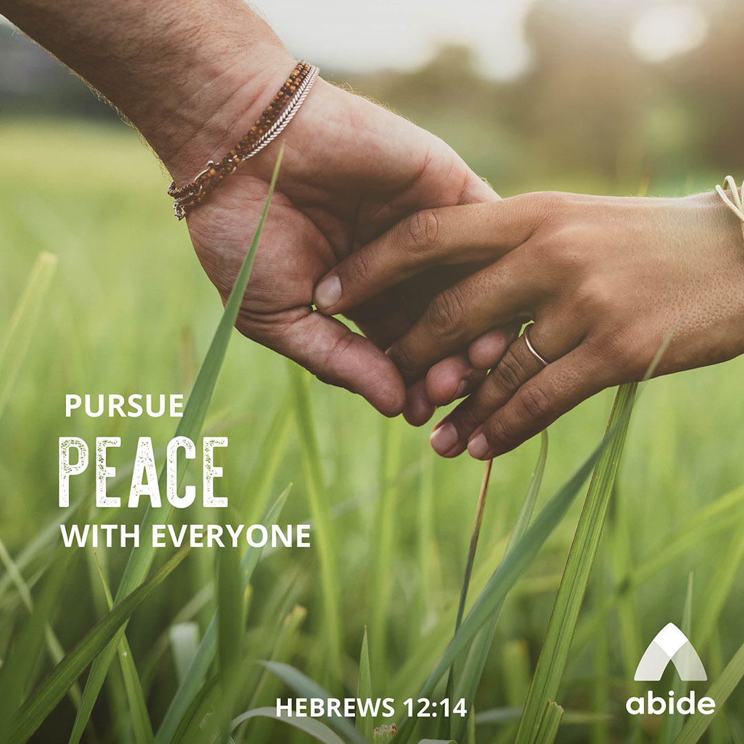 Pursuing Peace Hebrews 1214 Abide