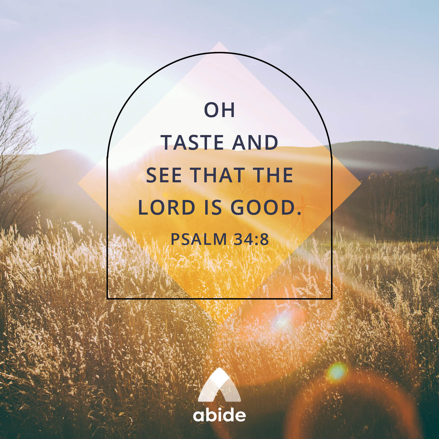 God Provides And Rescues Psalm 34 8 Abide