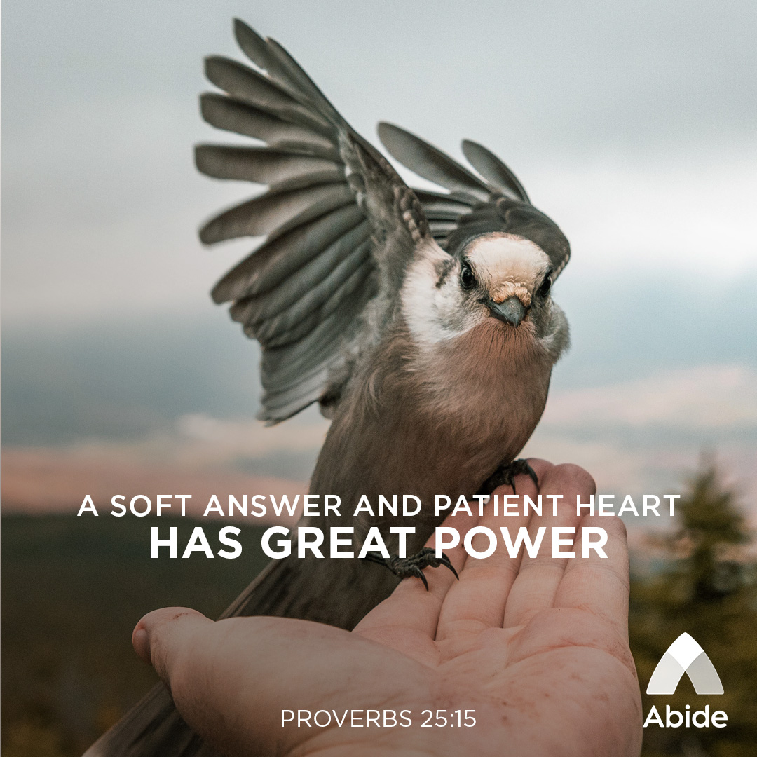 speaking-softly-proverbs-25-15-abide