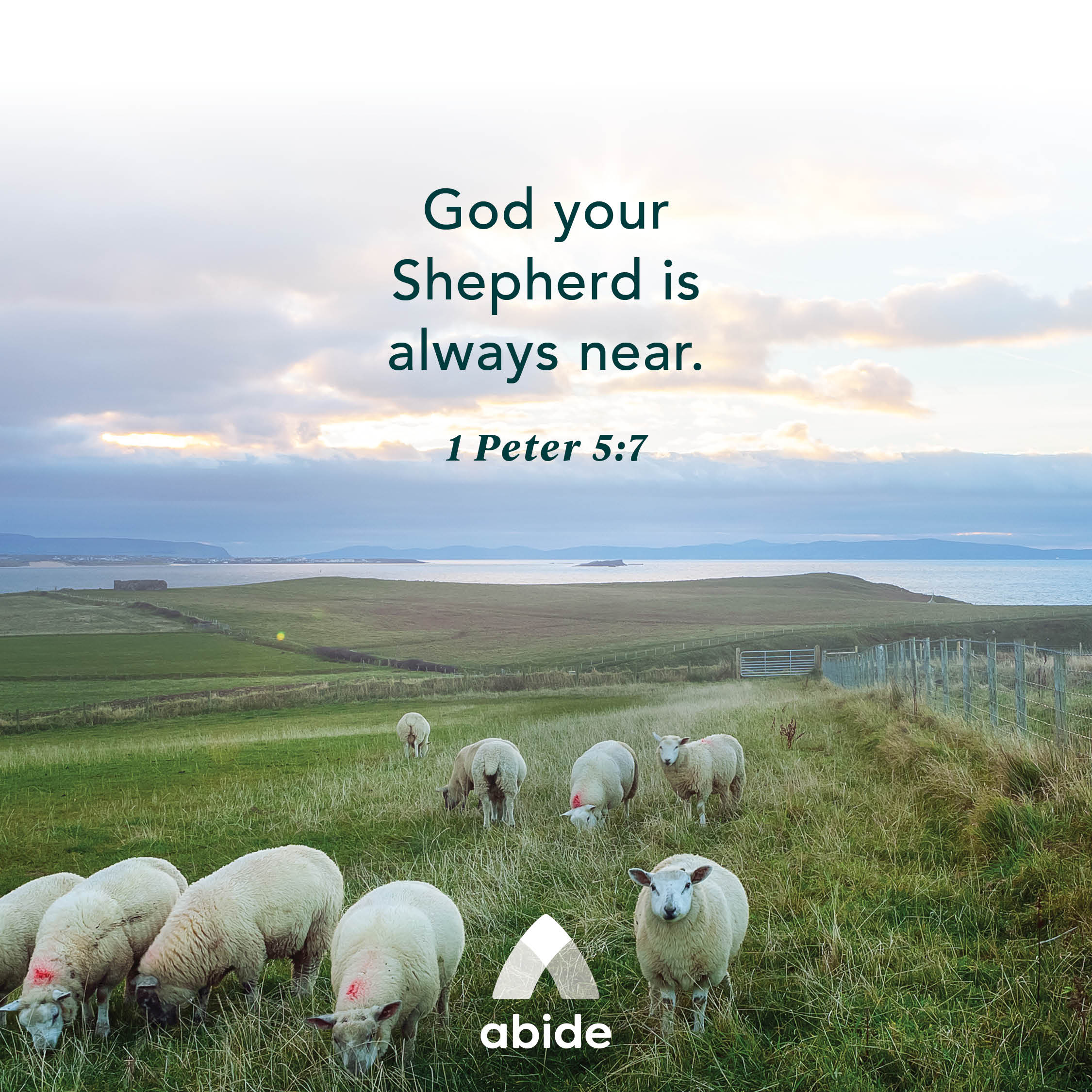 God Is Your Shepherd 1 Peter 5 7 Abide