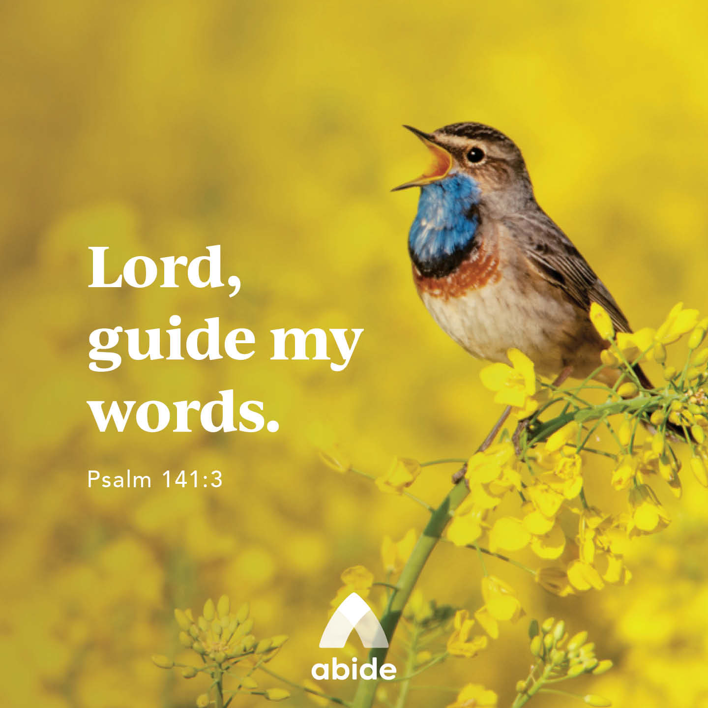 guarding-what-you-say-psalm-141-3-abide