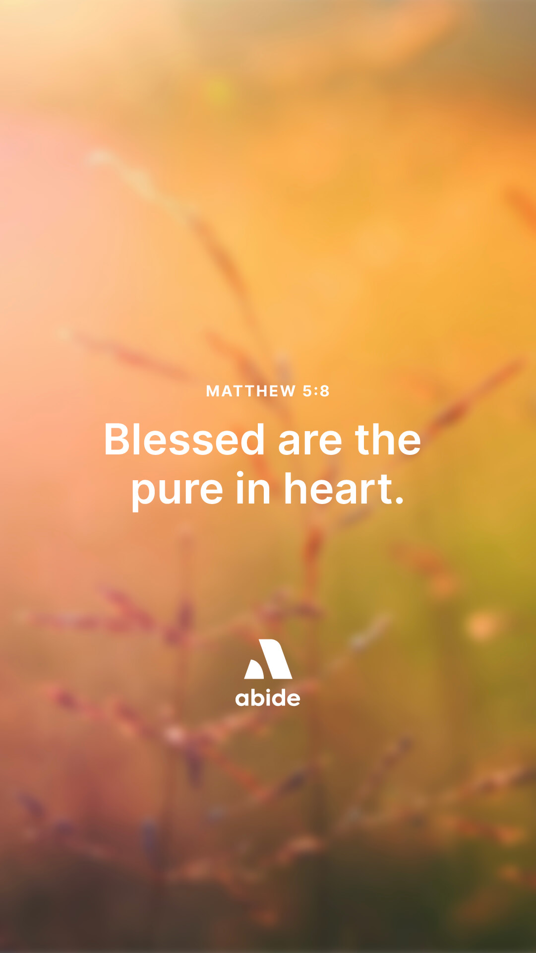 The Pure In Heart
