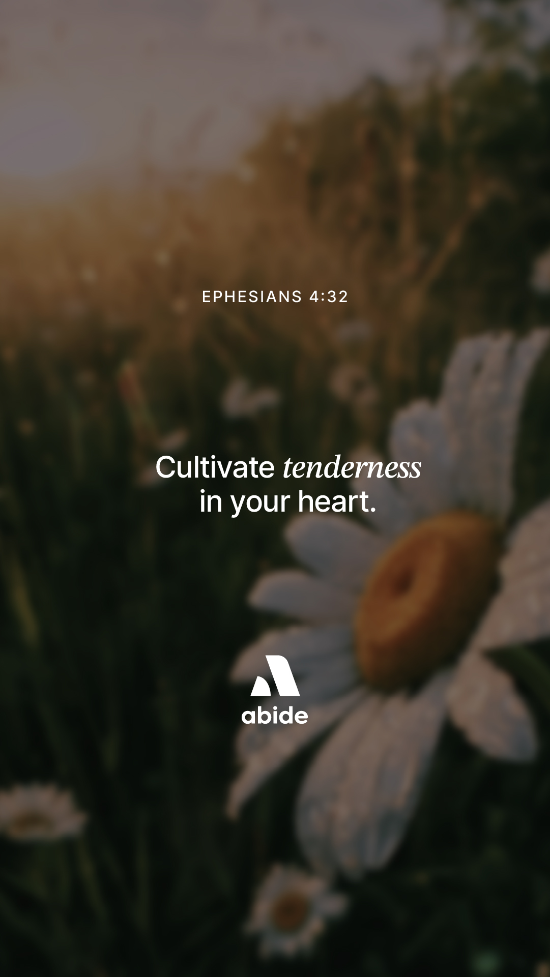 Cultivating a Tender Heart
