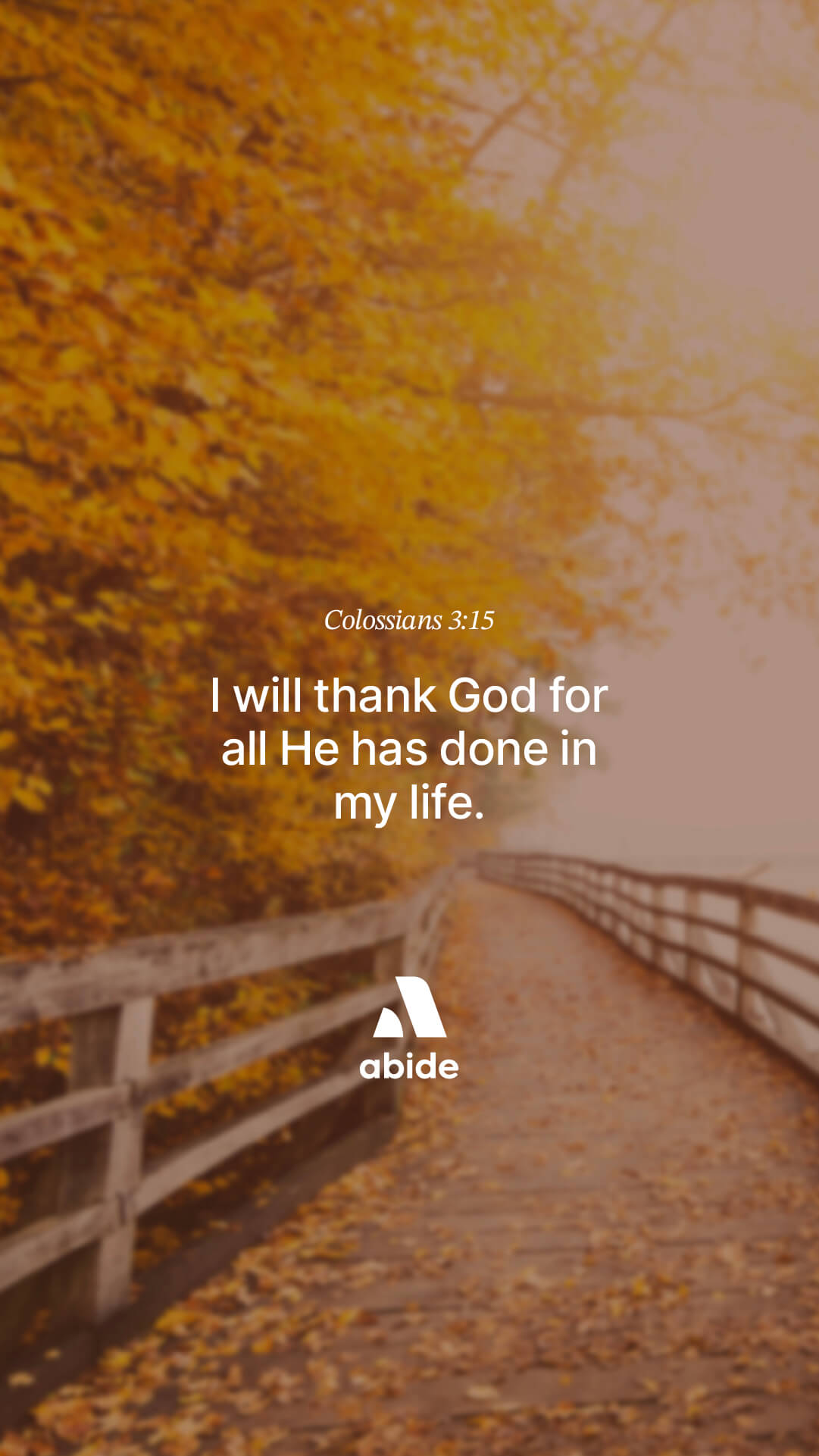 Living in Gratitude
