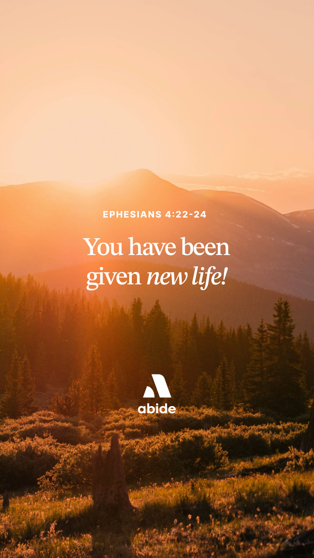 Redeeming Your Pain