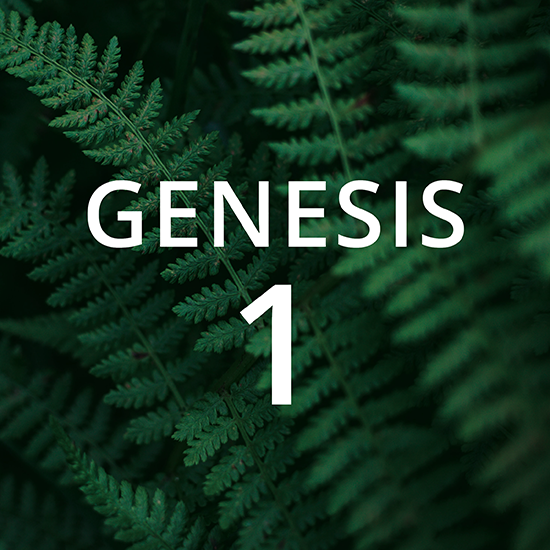 The Beginning - Genesis 1 | Abide