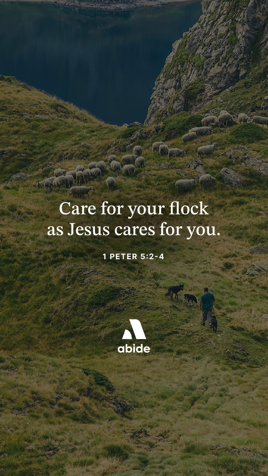 Called To Shepherd