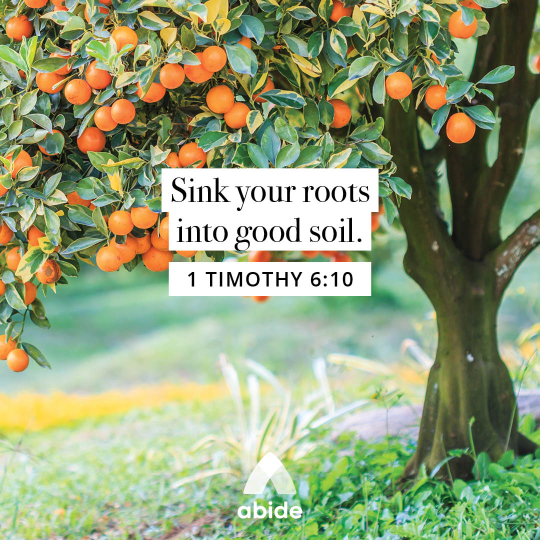 The Root of All Kinds of Evil - 1 Timothy 6:10 - Abide