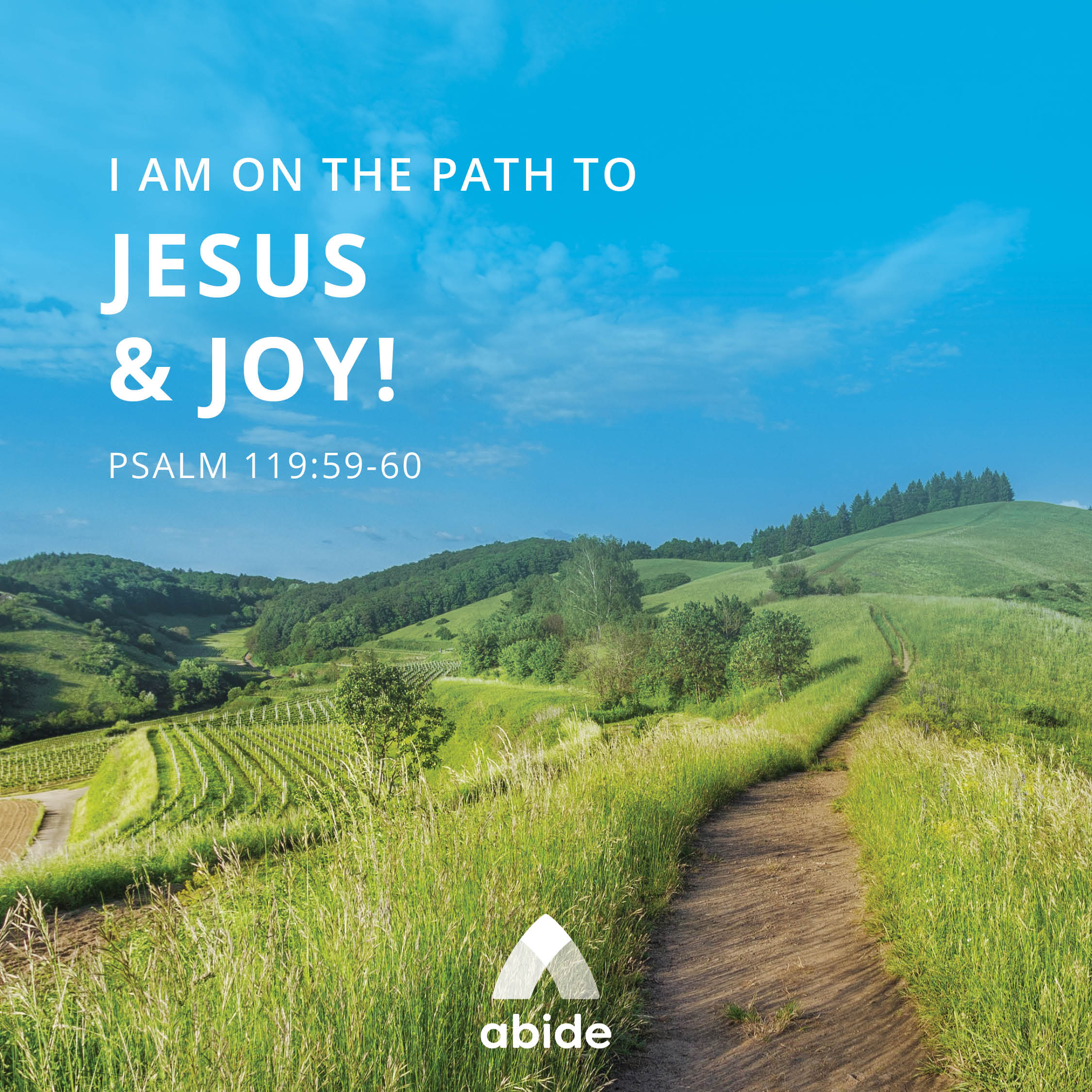 The Path To Joy Psalm 119 59 60 Abide