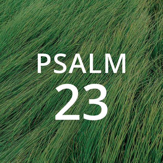 How to Meditate on Psalm 23 and Have Fun At the Same Time – April